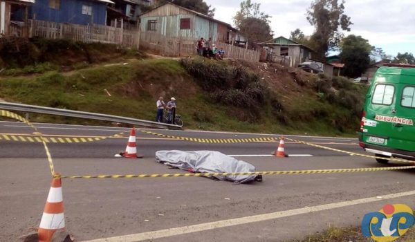 Homem de 32 anos morre atropelado na BR 277 em Palmeira