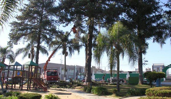 Praça passa por transformações para adequação ao Plano Municipal de Arborização