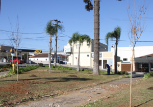 Praça do Cemitério recebe 20 novas árvores