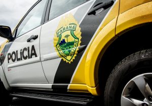 Polícia localiza plantas de maconha no interior de Palmeira