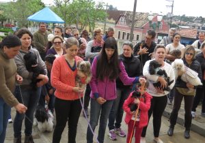 Nesta semana acontece benção dos animais em frente a Matriz