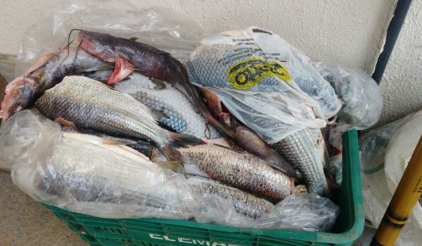 Polícia localiza mais de 20 quilos de peixe