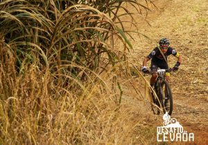 Witmarsum sedia festival de ciclismo