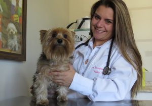 Veterinária explica benefícios da castração em cães e gatos