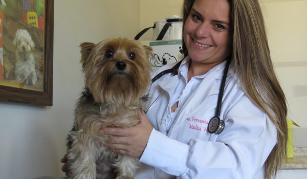 Veterinária explica benefícios da castração em cães e gatos