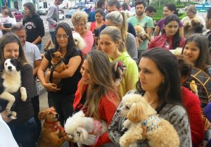 Paróquia promove Benção dos Animais nesta quinta-feira (04)