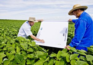 Emater e Secretaria de Agricultura e Pecuária promovem reunião sobre Manejo Integrado de Pragas e de Doenças