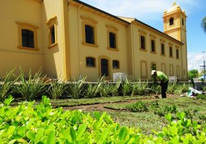 Paisagismo elaborado pelo VPA encerra trabalhos externos da Igreja Matriz