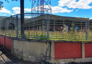 Terreno ao fundo do Mercado Municipal continua sem previsão de limpeza