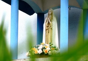 Ofereça flores e oração neste dia de Nossa Senhora de Fátima