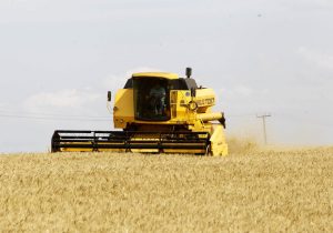 Safra de grãos no Paraná deve chegar a 37 milhões de toneladas