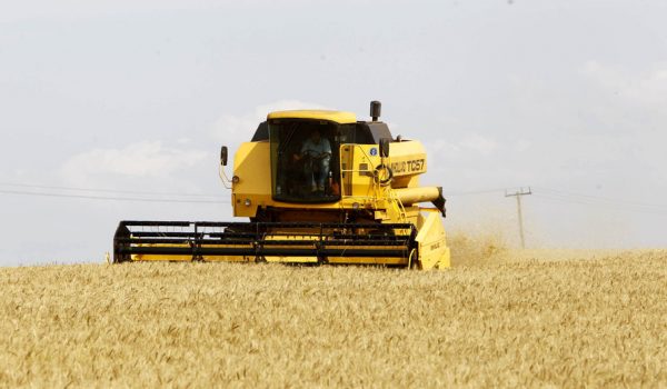 Safra de grãos no Paraná deve chegar a 37 milhões de toneladas
