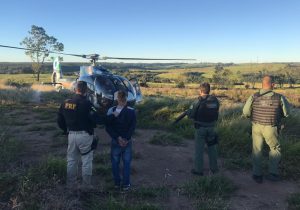 PRF e DENARC apreendem quase meia tonelada de maconha em Palmeira