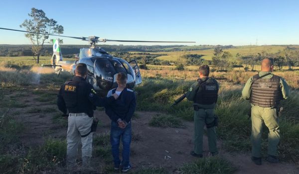 PRF e DENARC apreendem quase meia tonelada de maconha em Palmeira