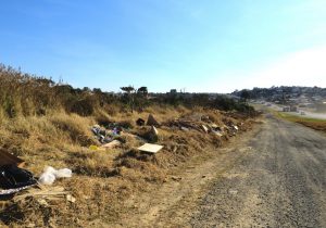 População descarta lixo na marginal da BR 277