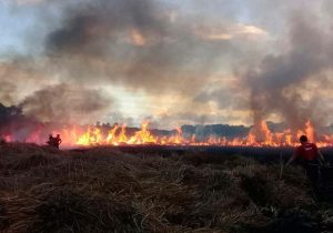 Número de incêndios no Paraná cresce mais de 10% em 2019