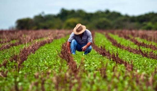 Receita altera declaração rural