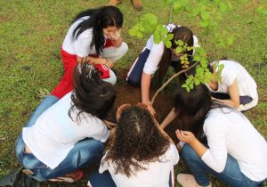 Secretaria de Meio Ambiente e estudantes palmeirenses unem-se com 157 países em Ação Global Climática pela Paz