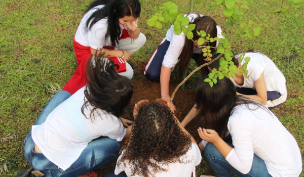 Secretaria de Meio Ambiente e estudantes palmeirenses unem-se com 157 países em Ação Global Climática pela Paz