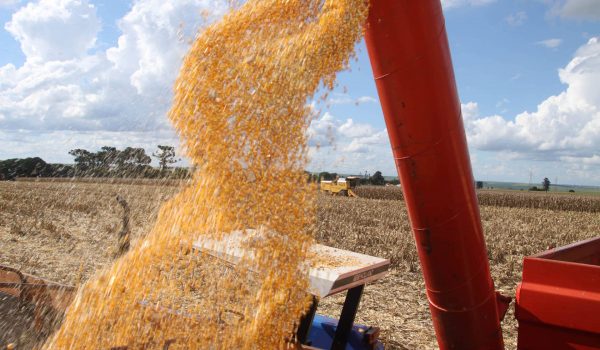 Nova estimativa do Deral mostra que Paraná deve atingir mais de 23 milhões de toneladas de grãos