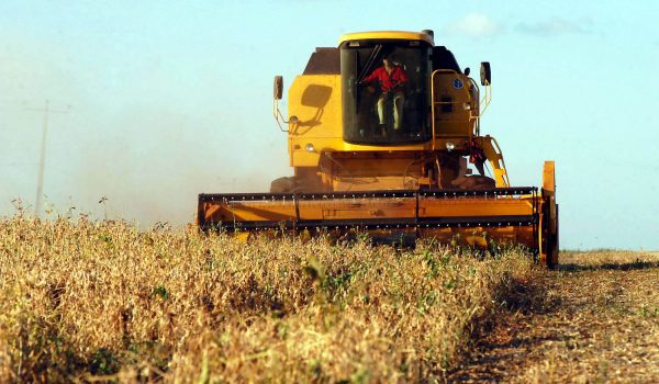 Deral prevê quase 20 milhões de toneladas de soja no Paraná 