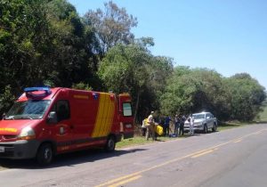 Três veículos se envolvem em acidente na PR 151 em Palmeira