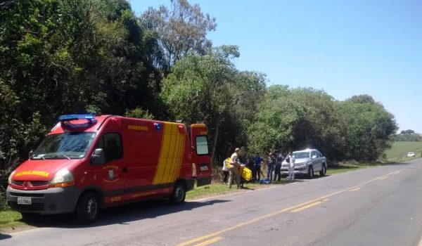 Três veículos se envolvem em acidente na PR 151 em Palmeira