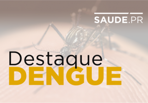 Paraná registra 89 casos de dengue em uma semana