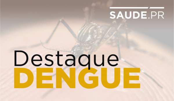 Paraná registra 89 casos de dengue em uma semana