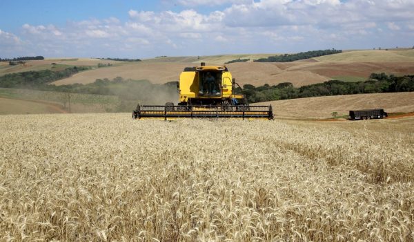 Paraná deverá produzir mais de 36 milhões de toneladas de grãos