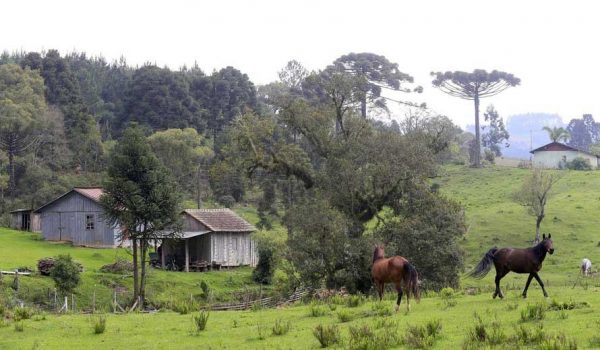 IAP orienta proprietários a acompanhar Cadastro Ambiental Rural