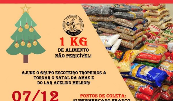 Ação do grupo de escoteiros buscar arrecadar alimentos para AMAS e Lar Acelino