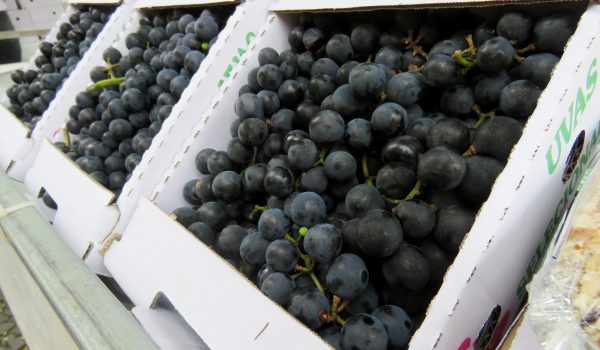 Viticultores promovem a 7ª edição da feira da uva rústica de Palmeira