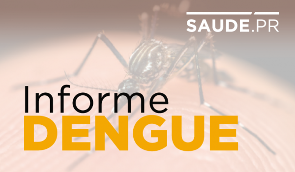 Paraná totaliza 105 mortes por dengue desde agosto de 2019