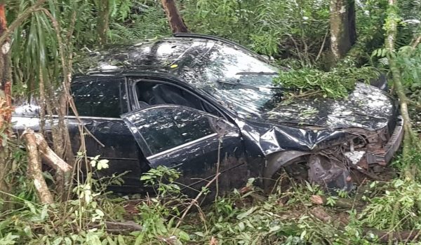 PRF aprende 206 kg de maconha após acidente em Palmeira