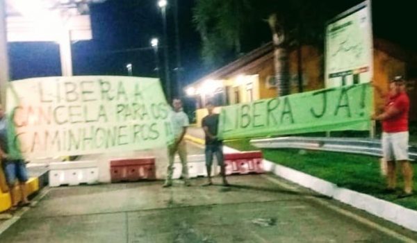 Motoristas do transporte coletivo de Palmeira manifestam em prol dos caminhoneiros