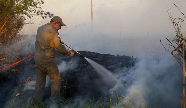 Incêndios ambientais crescem 33% no Paraná no 1º trimestre