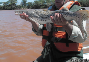 Paraná proíbe pesca durante crise hídrica
