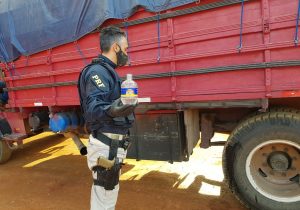 Condutor de caminhão com placas de Palmeira é flagrado bêbado pela PRF