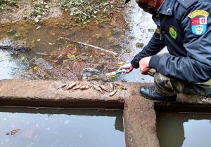 Polícia Ambiental atende denúncia de poluição no Rio Capivara