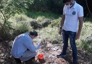 Em menos de um ano Paraná soma  mais de 212 mil casos de dengue