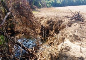 Polícia Ambiental atende denúncia em Palmeira e aplica multa no valor de R$ 58.500