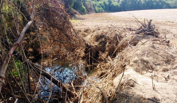 Polícia Ambiental atende denúncia em Palmeira e aplica multa no valor de R$ 58.500