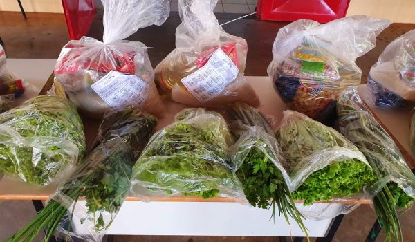 Educação realiza entrega de alimentos da agricultura familiar para alunos do município