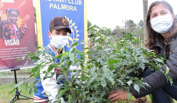 Rotary Clube realiza ações voltadas ao meio ambiente