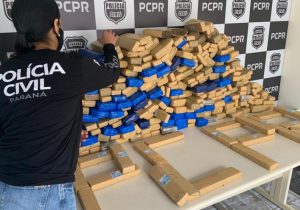 Polícia Civil apreende 208 quilos de maconha em Palmeira