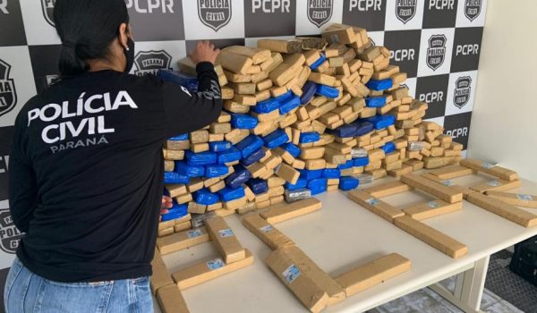 Polícia Civil apreende 208 quilos de maconha em Palmeira