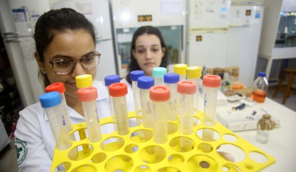 Paraná autoriza aulas presenciais dos últimos anos de cursos da Saúde