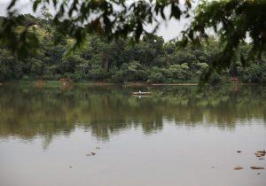 Período da piracema começa neste domingo e vai até fevereiro