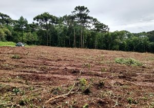 Polícia Ambiental atende denúncia de destruição de vegetação na localidade de Vieiras